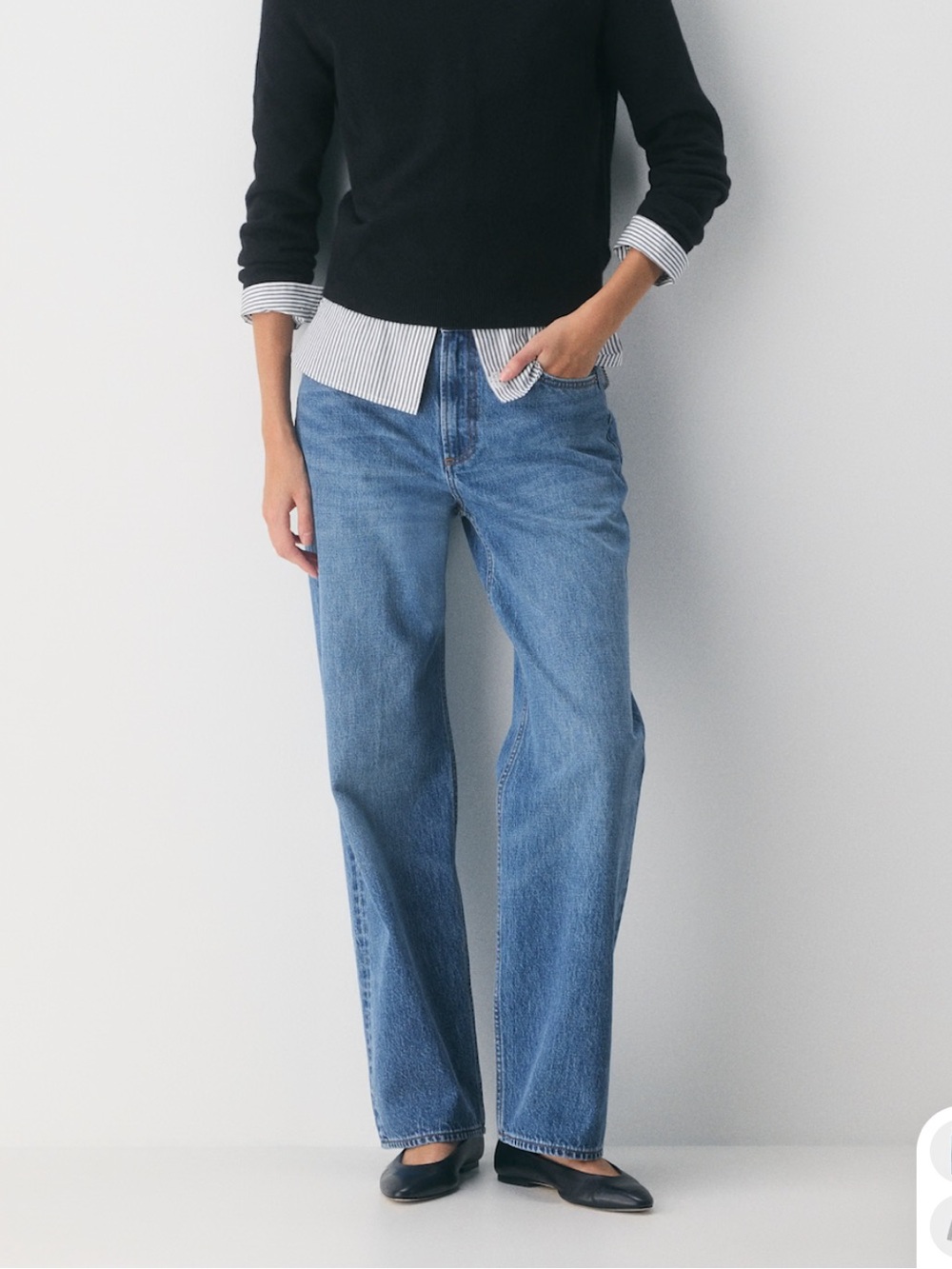 Aritzia Denim Forum Iggy Lo-Rise Baggy